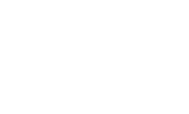 UD Hair Experience